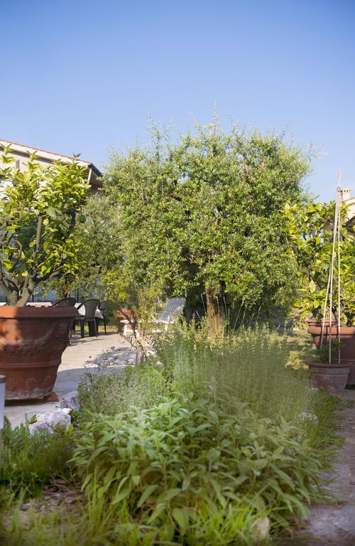Hotel Dolce Sosta Lucca Esterno foto